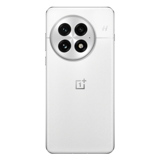 OnePlus 13 24/1Tb Dual nanoSim Белый (CN)