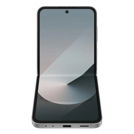 Samsung Galaxy Z Flip 6 F741B 12/512Gb Global Серый