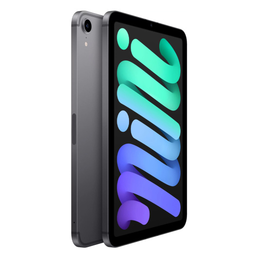 Планшет Apple iPad mini (2021) Wi-Fi 64Gb Серый